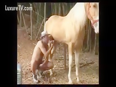 Horse sex free fucking couple bitch compilation xxx animals
