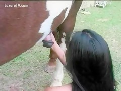 Horse dick gets sucked creampie by horny slut bitch 