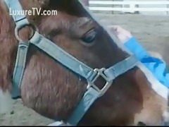 Horse porn outdoor compilation xxx animals