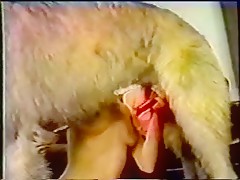 Animals porn movies for compilation xxx horses and dogs