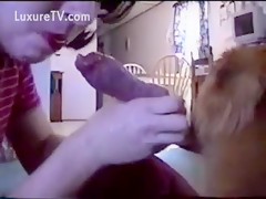 Chubby chick sucking deepthroat her dog's dick 