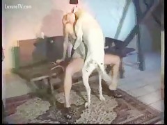 Dog sex hardcore fucking young girl on cam