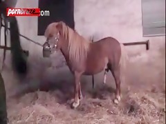 Horse porn hardcore videos xxx with comdom