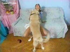 Amateur woman gets rouded her cunt by dog sex HD