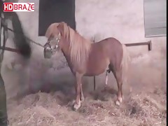 Bitch mature girl fucks horse xxx for hardcore animal videos