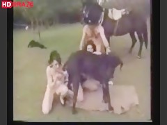 Horse sex group outside and dog licking teen pussy