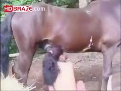 Bitch wild slut enjoys horse fucking cunt HD animal xxx