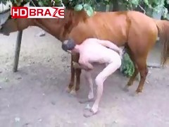 Dirty old gay man fucks horse outside HD movie xxx