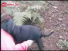 Big black dog digging wet cunt on outdoor trip HD zoo porno