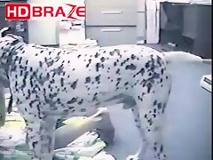 Horny chick girl gets fucked by dog sex video HD
