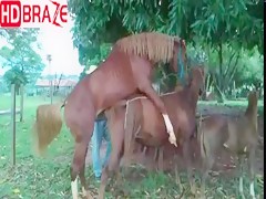 The natural sex of horse is perfect in animal porn video
