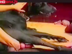 Stunning dog fucks girl in zoo porn video