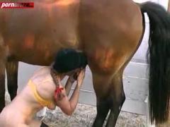 Lucky Horse Crazy Fucking With Girl