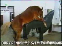 Amazing animal fucking horse hd sex 