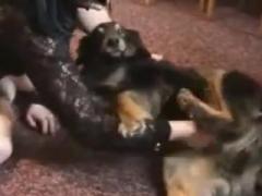 Beauty young girl loves dog for sex