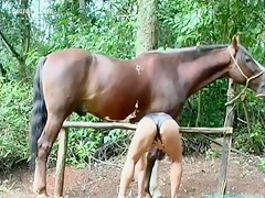 Horse porn sex hard outdoor with dirty blonde zoo xxx