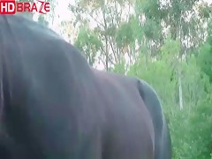 Horse fucks a gay man orgy outside to cum animal xxx