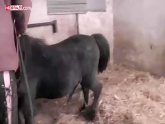 Stunning huge horse cock nailed her wet pussy for animal xxx HD