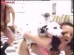 Animal hardcore compilation with dog creampie human pussy 