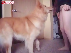 Fatty MILF enjoys dog licking cunt in amateur animal porno video