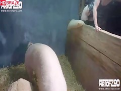 Horny slutty woman gets fucked by pig in hardcore zoo porno HD