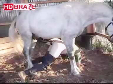 Xxx Student With Animal Horse - White horse banged orgy his tight ass - HD Porn - Amater Tube porn, Student  Free Sex Video