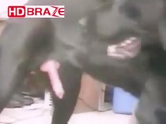 Stunning dog fucks human in animal porn HD video