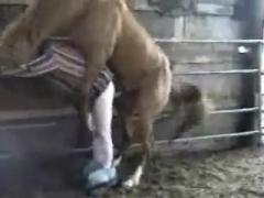 Thick Milf fuck with horse