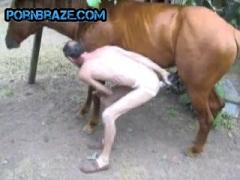 zoophile man and his horse Fuck Free - Animal Porn Free - HD Porn - Amater  Tube porn, Student Free Sex Video