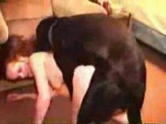 Nice black dog fucking orgasm woman