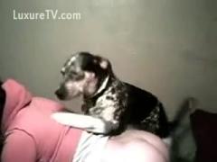 Girl fuck by dog