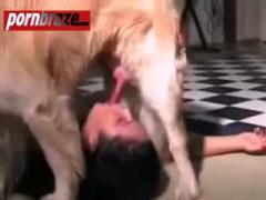 Dog cums in girl