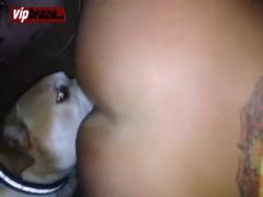 best pussy licking by litte dog
