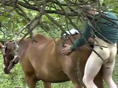 Dirty man fucking a big horse outside - HD Porn - Amater Tube porn, Student  Free Sex Video