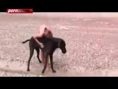 Public Sex Animal Porn Video