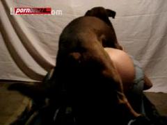 hot cam sex with dog