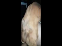 Amateur BRASIL Dog Fuck Compilation 2021 - PT 1